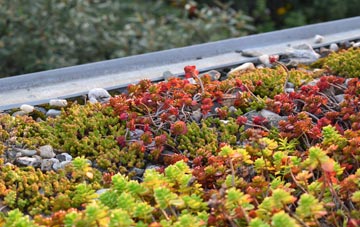 the cost of Camesworth green roof installation