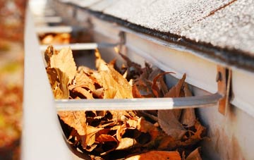 Camesworth gutter cleaning companies