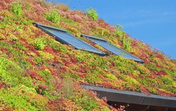 Camesworth living roof systems