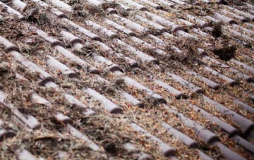 Camesworth roof cleaning companies