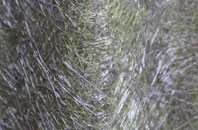 Camesworth fibreglass roof work