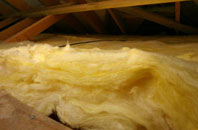Camesworth pitch roof insulation